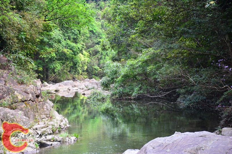 DSC_2004.JPG