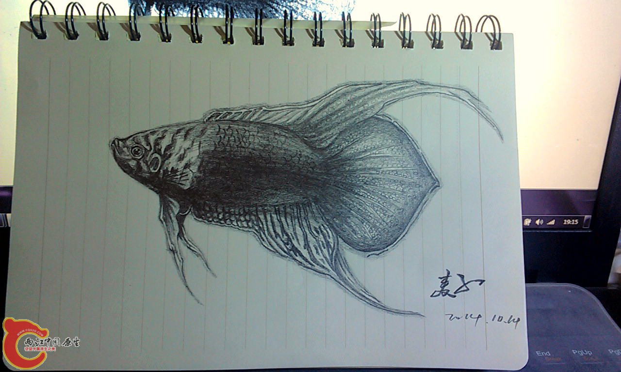 IMAG0988-1-1.jpg