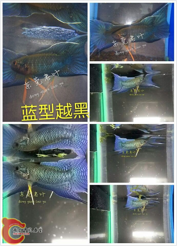 QQ图片20160605153339.jpg
