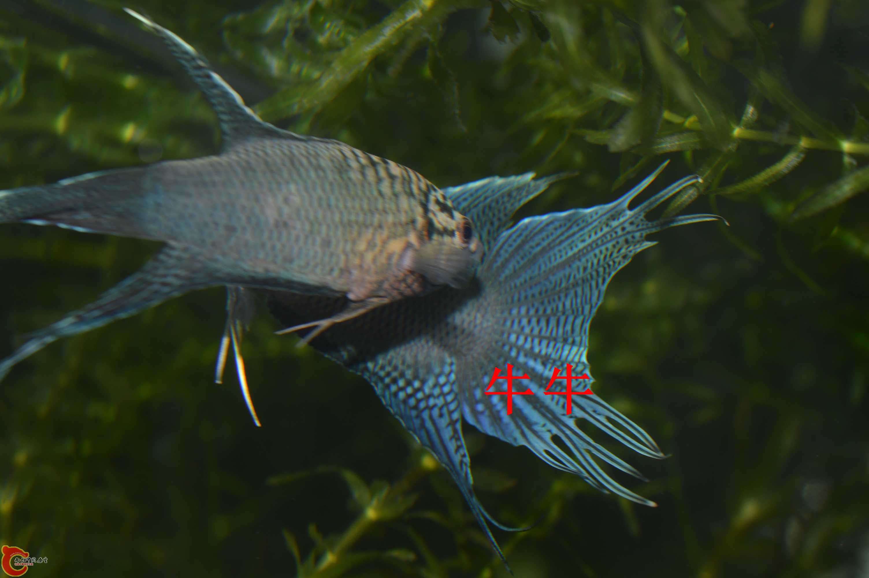 DSC_0008.jpg