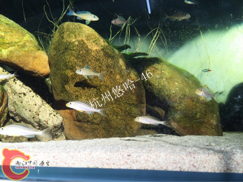 092810fk1gimmjcxijmsrc.jpg