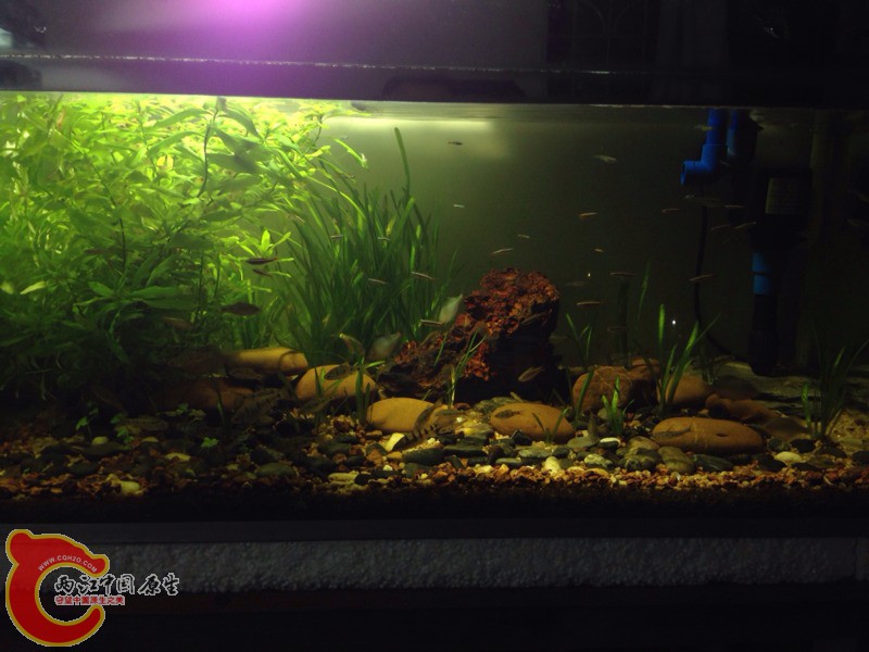 211614iqcre59a5yeecttz.jpg