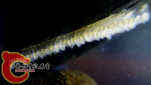 2016-05-04 20.43.31.jpg