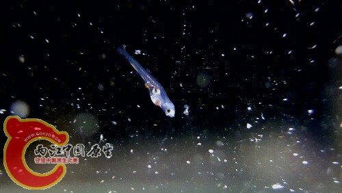 2016-05-14 21.08.57.jpg