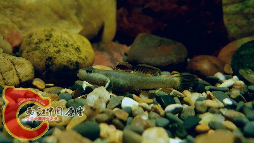 2016-02-01 20.10.15.jpg