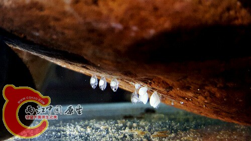 2016-06-07 01.27.06.jpg