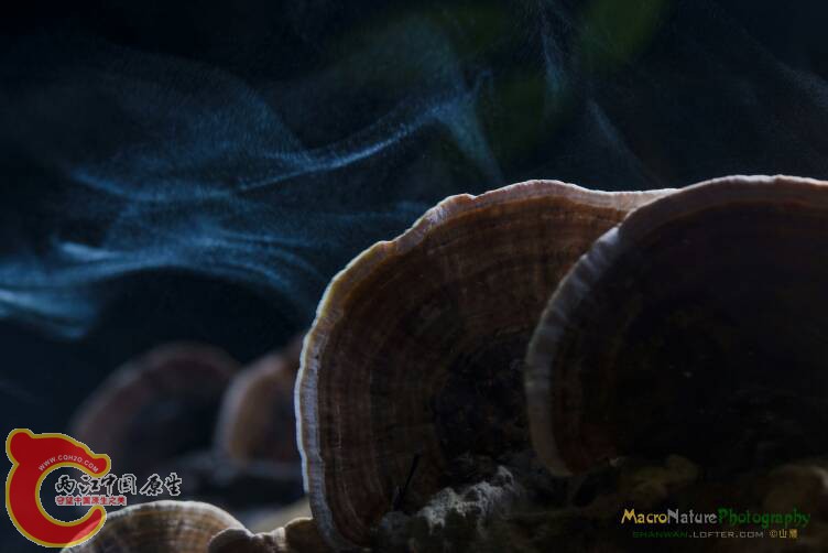 004048s9eof00d0gnde4f4.jpg