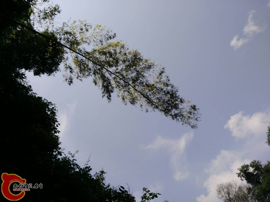 204147ietzt6e3x6t6ex6p.jpg