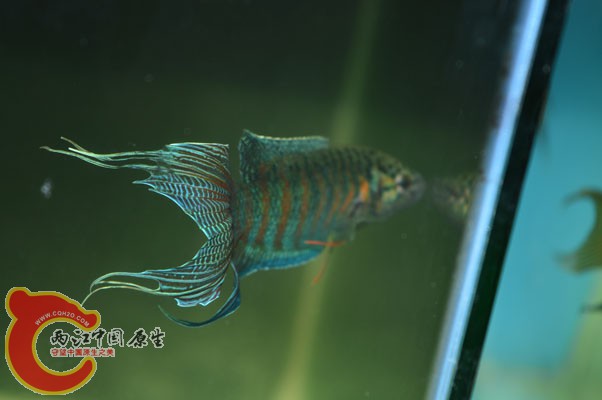 DSC_0048 副本.jpg