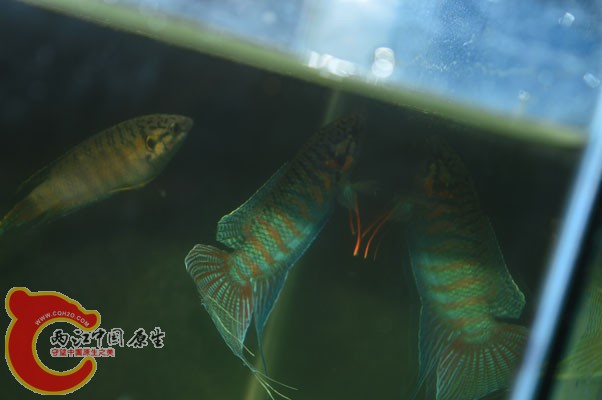 DSC_0049 副本.jpg