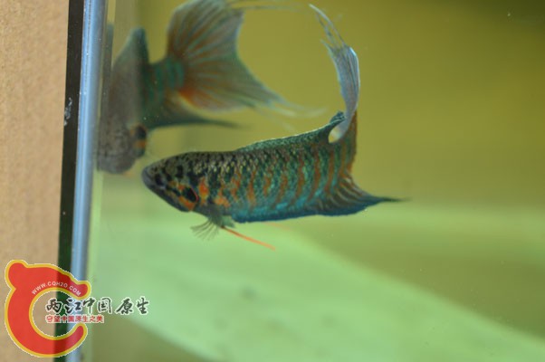 DSC_0051 副本.jpg