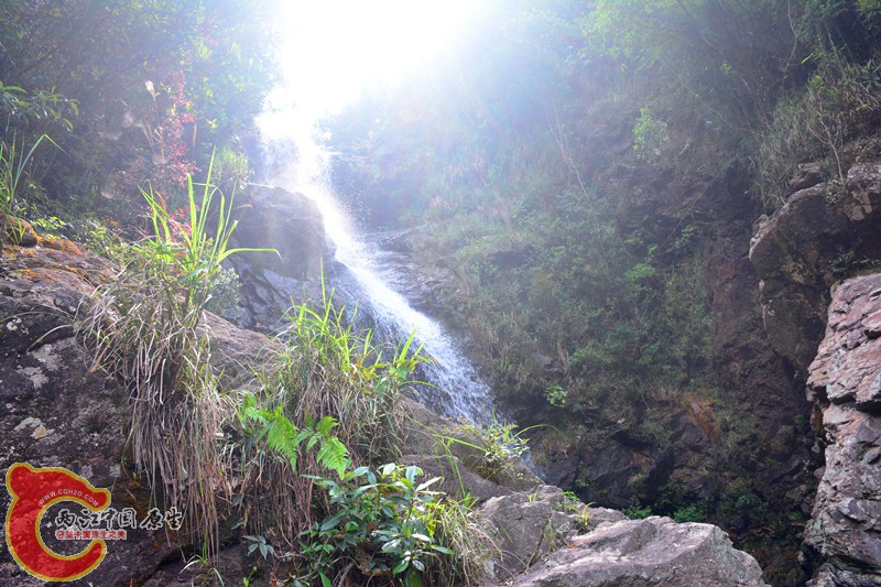 DSC_2015.JPG