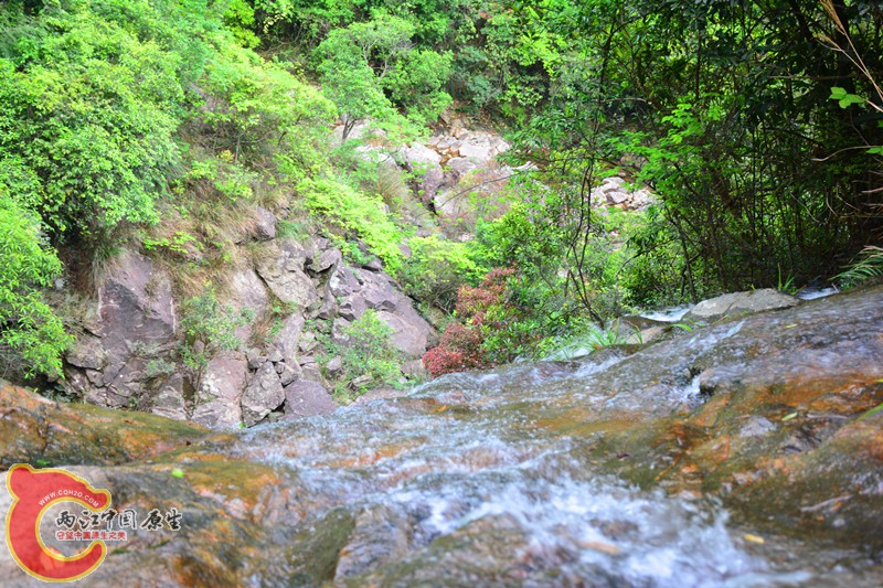 DSC_2020.JPG
