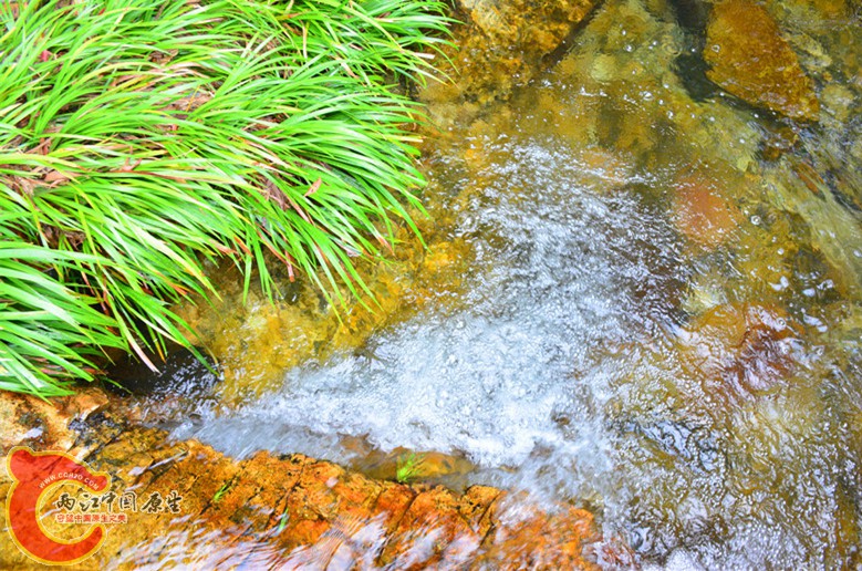 DSC_2026.JPG