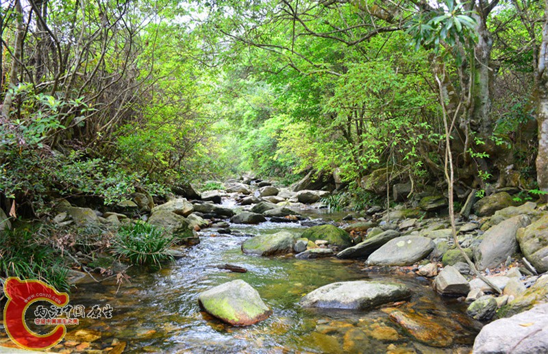 DSC_2030.JPG