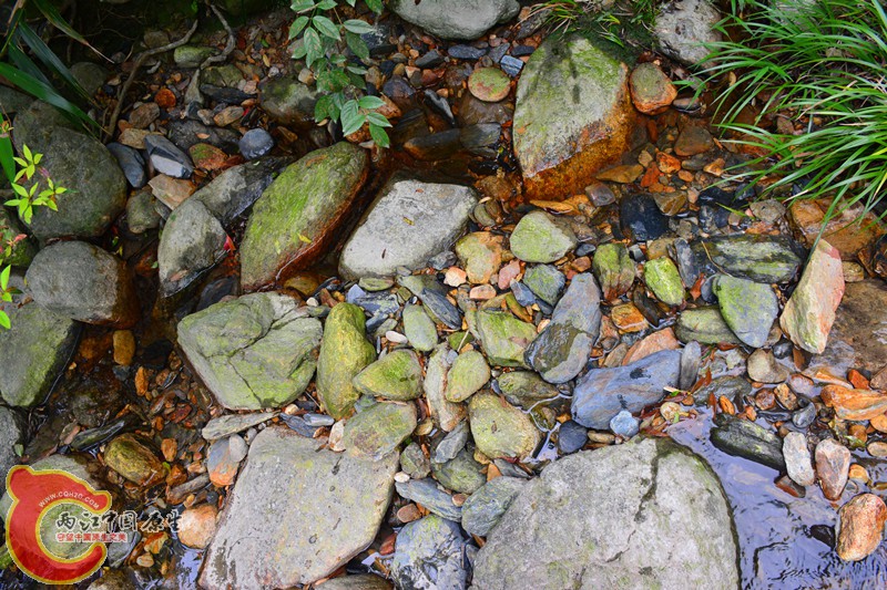 DSC_2031.JPG