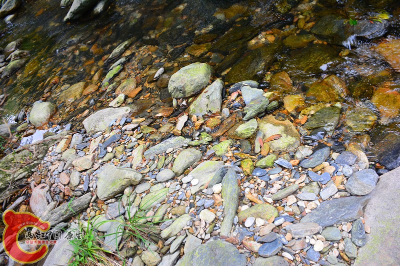 DSC_2032.JPG