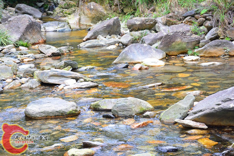 DSC_2036.JPG