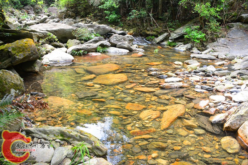 DSC_2038.JPG