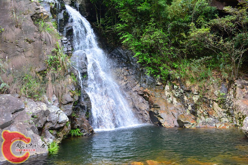 DSC_2040.JPG