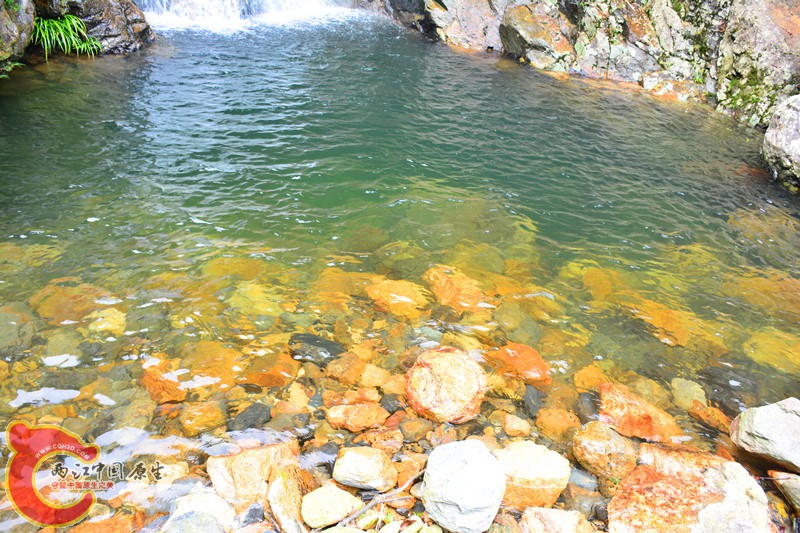DSC_2041.JPG