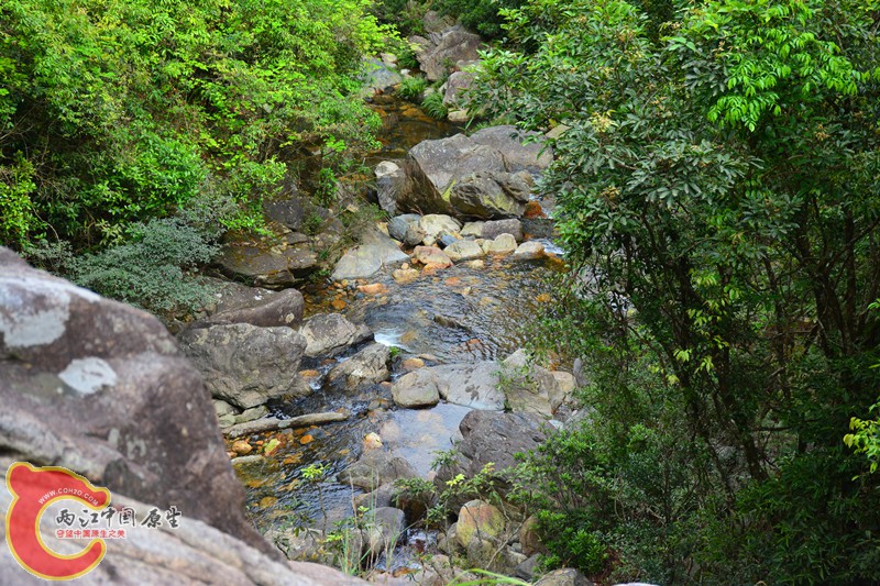 DSC_2043.JPG