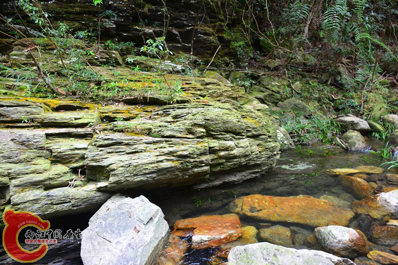 DSC_2044.JPG