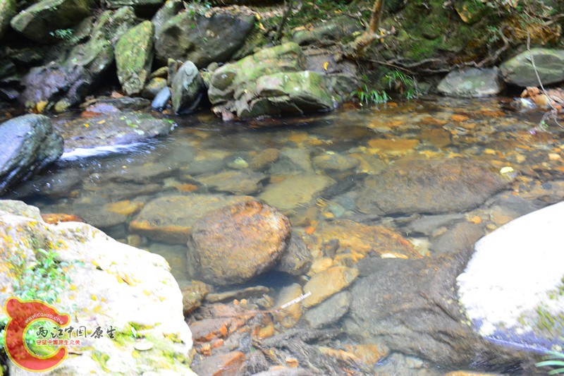 DSC_2045.JPG