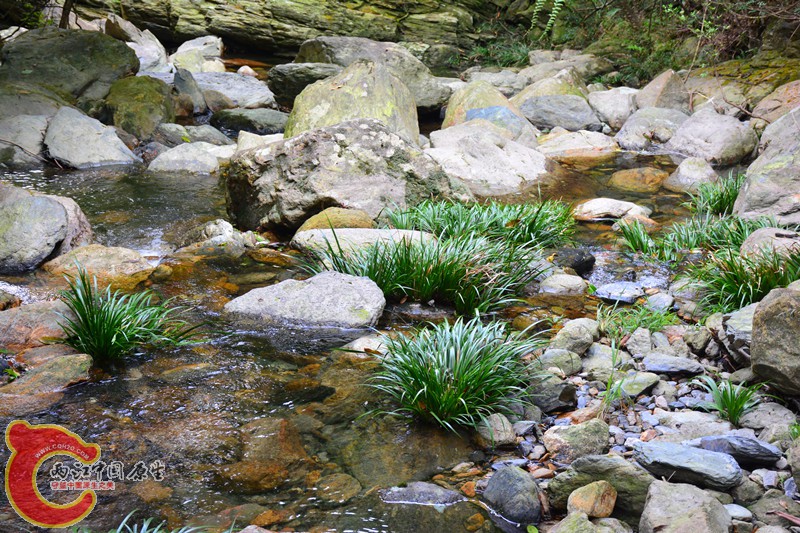 DSC_2046.JPG