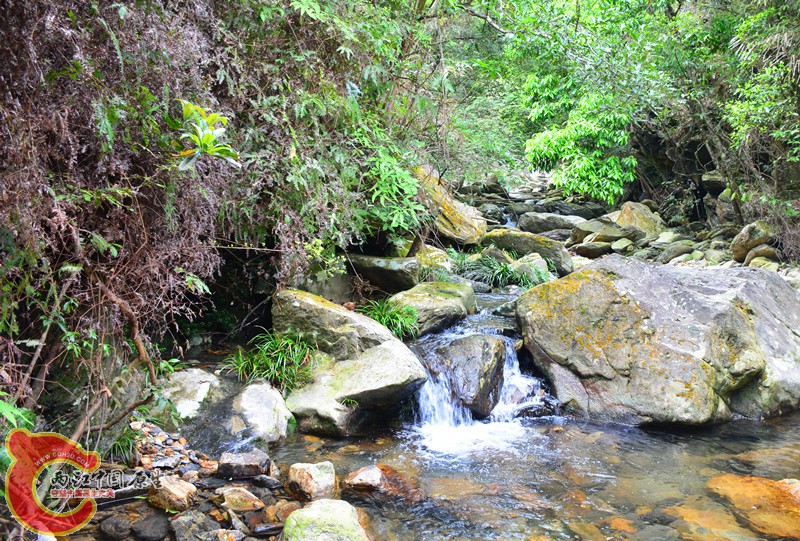 DSC_2047.JPG