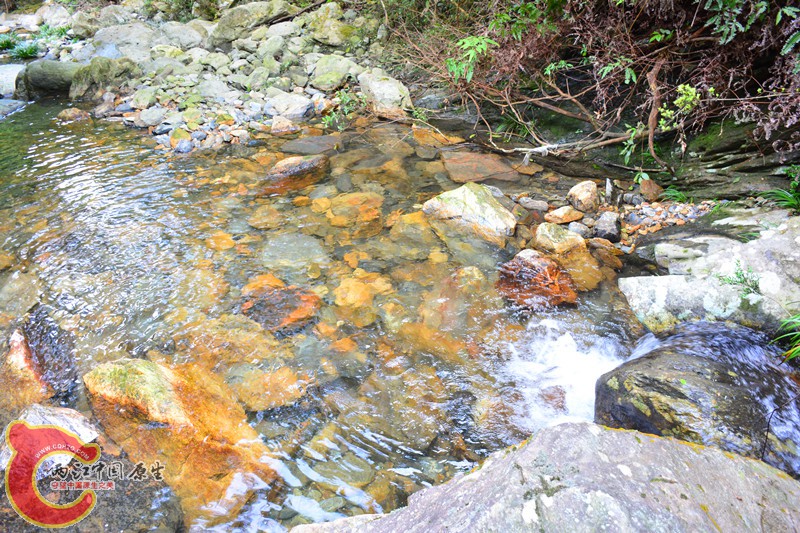 DSC_2048.JPG