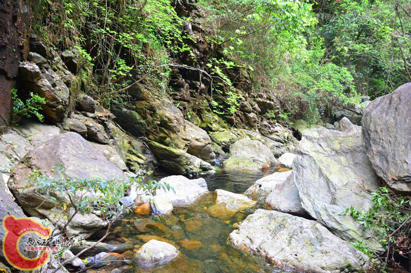 DSC_2050.JPG