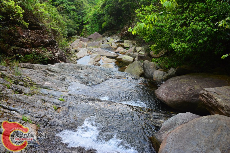 DSC_2063.JPG