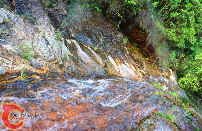 DSC_2065.JPG