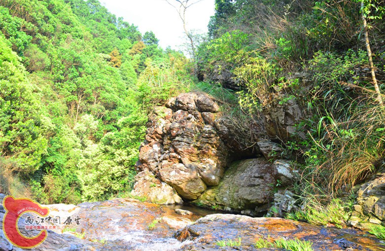 DSC_2066.JPG
