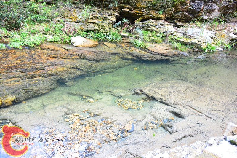 DSC_2067.JPG