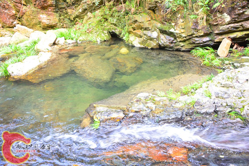 DSC_2070.JPG