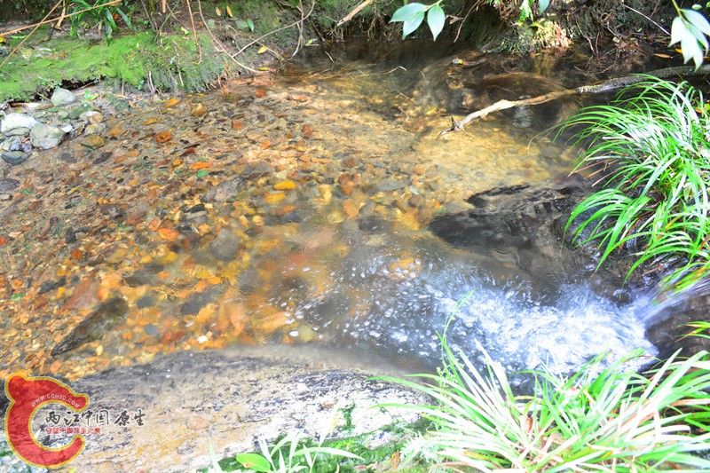 DSC_2073.JPG