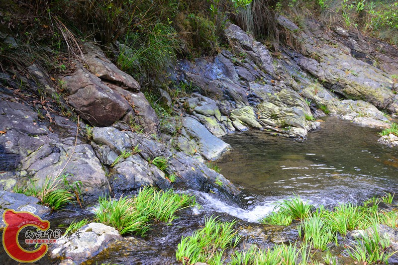 DSC_2074.JPG