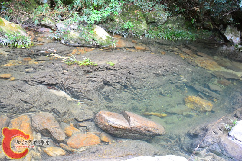 DSC_2076.JPG