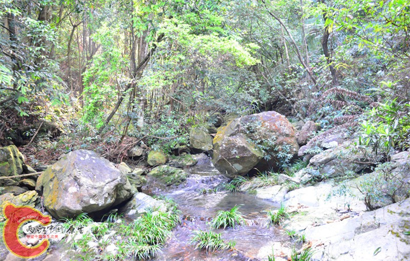 DSC_2080.JPG