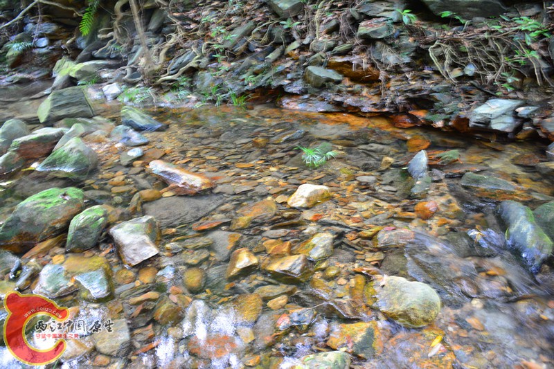 DSC_2081.JPG