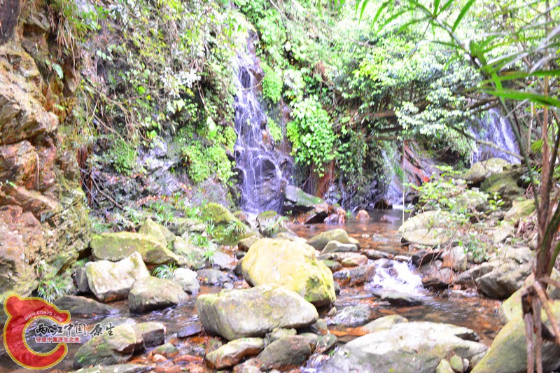 DSC_2087.JPG