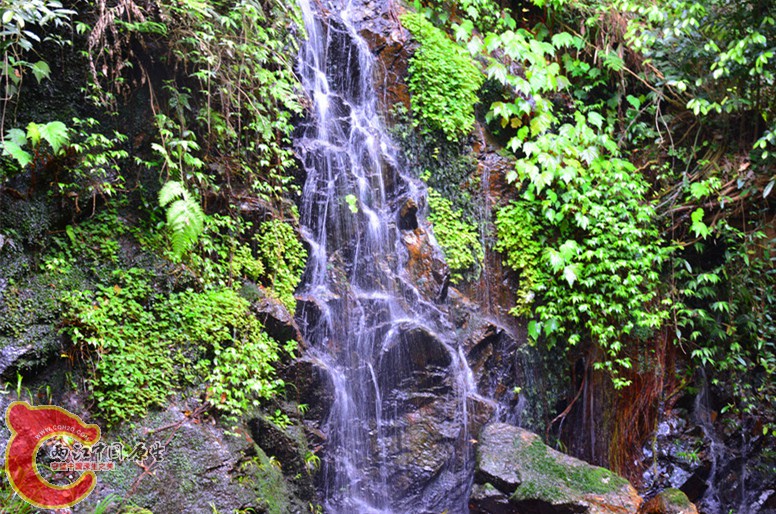 DSC_2088.JPG
