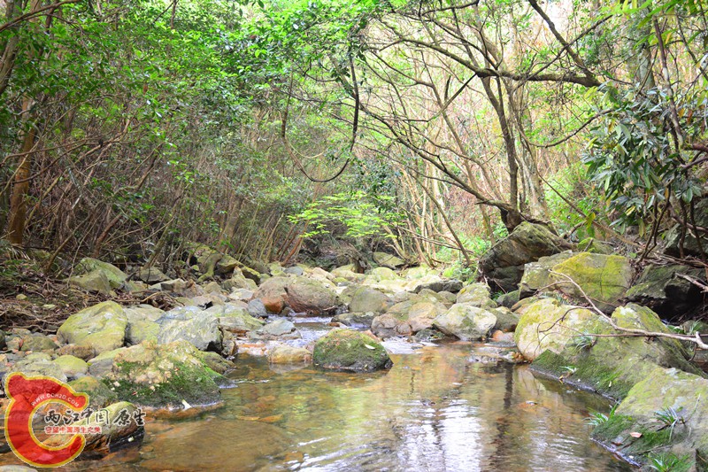 DSC_2092.JPG