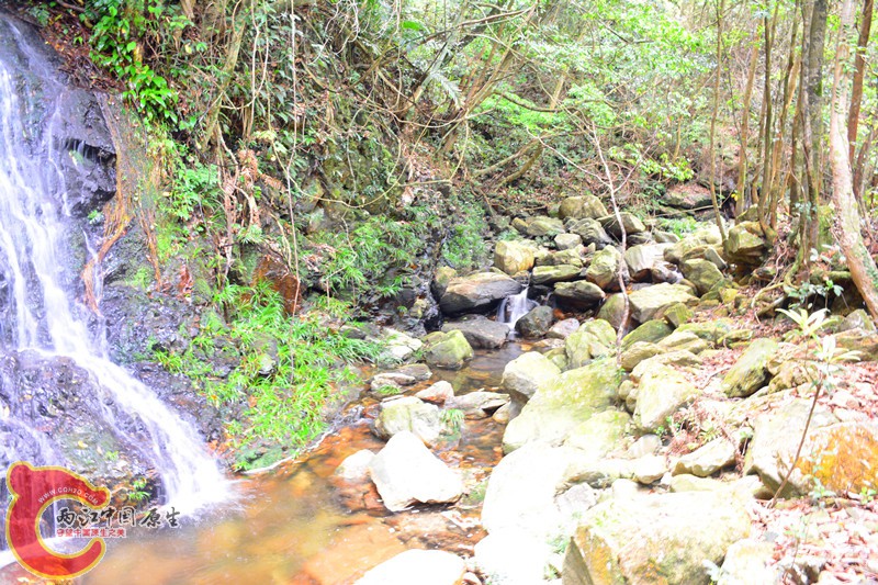 DSC_2101.JPG
