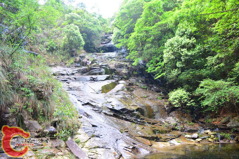 DSC_2103.JPG