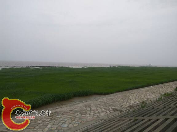 190042t66meknpjwapnnnj.jpg