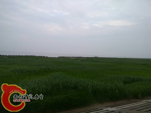 190043yee00l17ahh3lge3.jpg