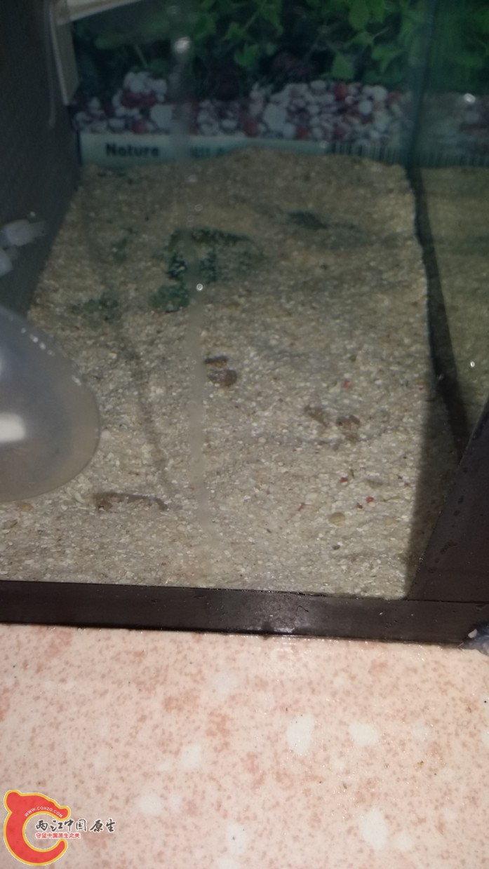20160611_165335.jpg